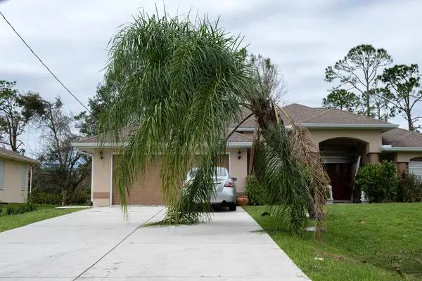 How to Handle Insurance Claims When a tree fell on roof