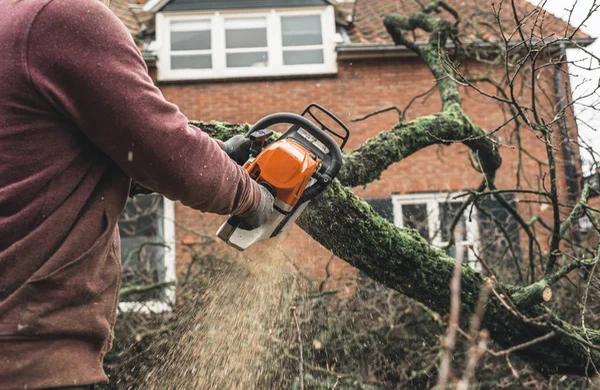 Dependable Tree Cutting Service for Every Season