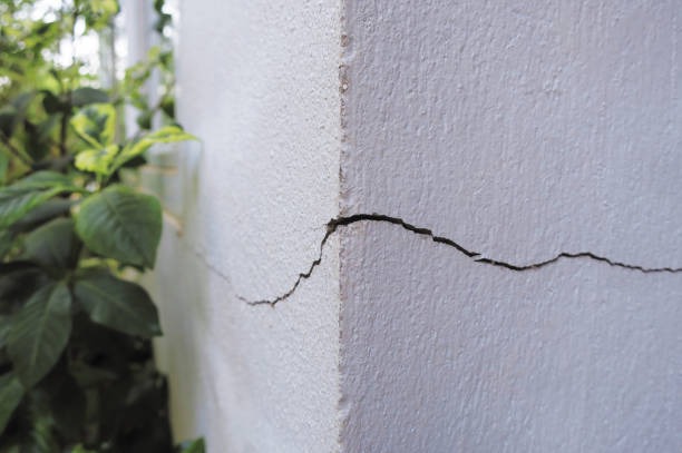 Industry-Leading Waterproofing for Basements Services and Solutions