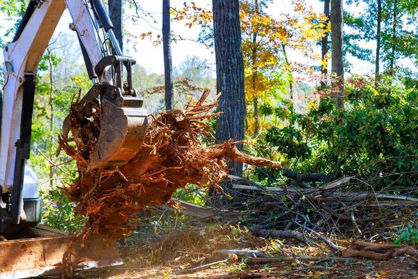 Top Rated Tree Removal in Adrian, Michigan for Homes and Businesses