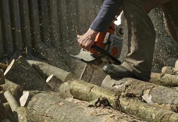 Fast and Efficient Tree Removal Near Me at Competitive Prices
