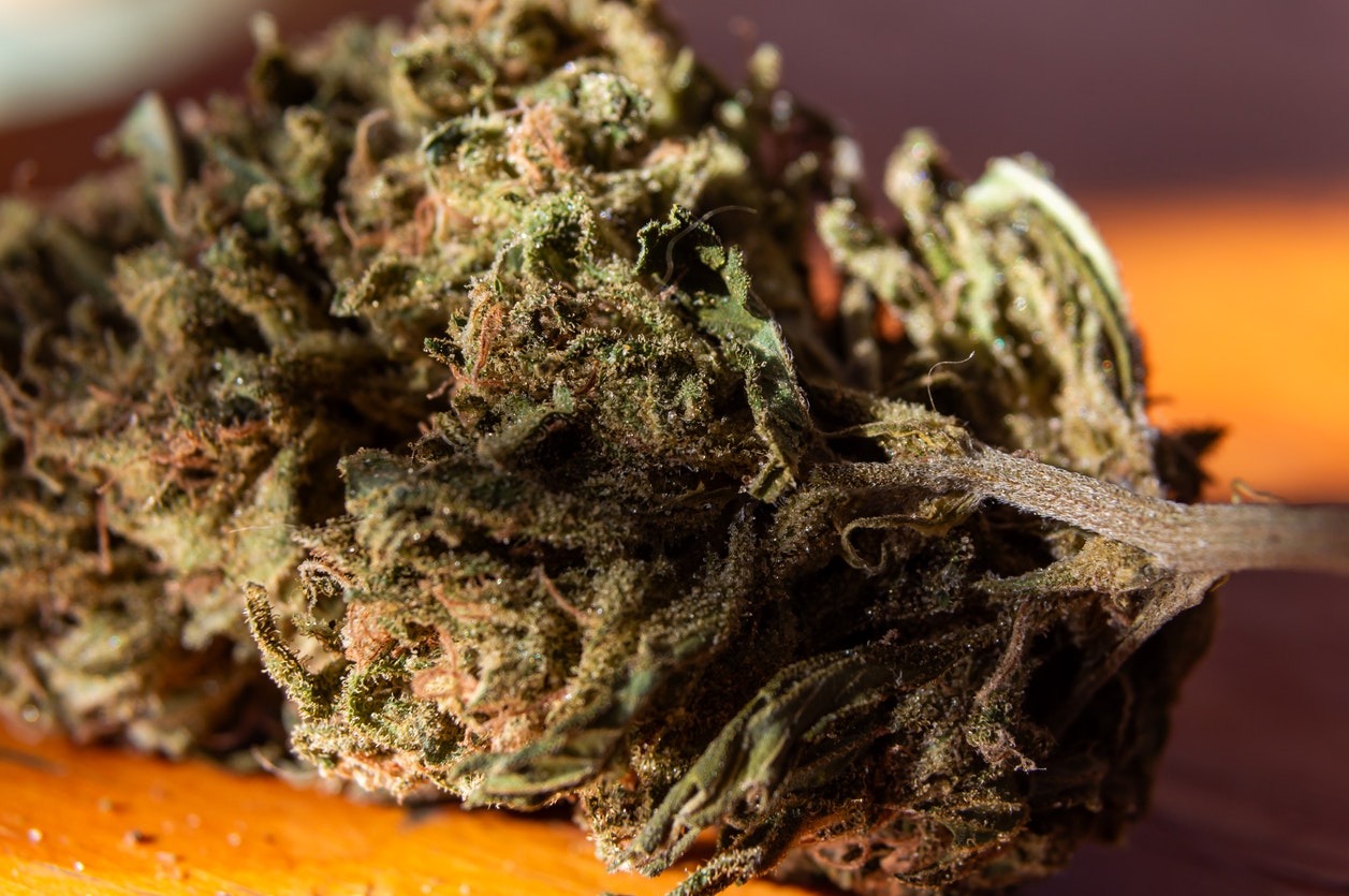 Explore Premium Cannabis Options With Wiet Kopen for a Better Shopping Experience
