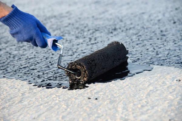 Local Crawlspace Waterproofing Service You Can Count On