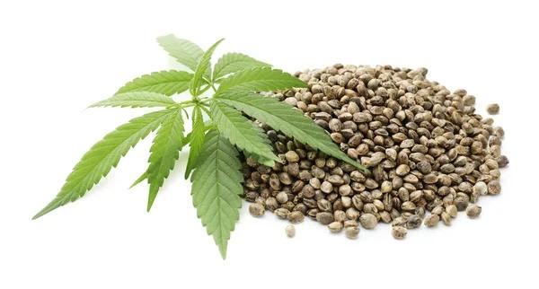 What Makes One Hemp Product Different From Another?