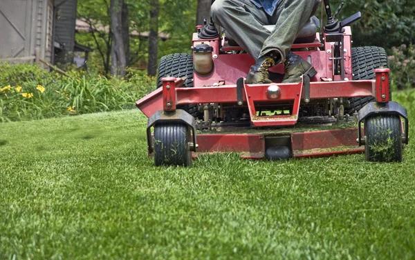 Landscaping Services That Make Outdoor Maintenance Easier
